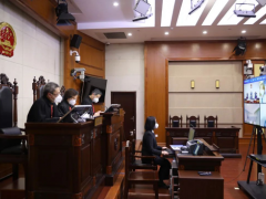 疫情期间假借代购、配送生活物资实施诈骗，上海法院判了！