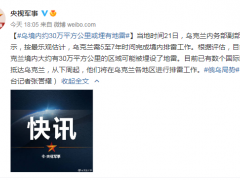乌克兰内务部副部长：按最乐观估计，需5至7年时间完成境内排雷工作