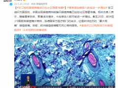 世卫担忧猴痘病毒或已在社区隐匿传播