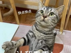 深圳有一区发补贴了！