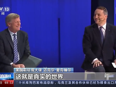 美国前驻俄大使：美国在乌克兰加入北约问题上“撒谎”