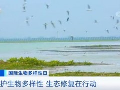 保护生物多样性 生态修复在行动