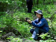 投身太行山生物多样性研究的“植物达人”武德昌