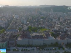 走进老区看新貌 | 贵州黎平：发挥生态优势 融入大湾区市场