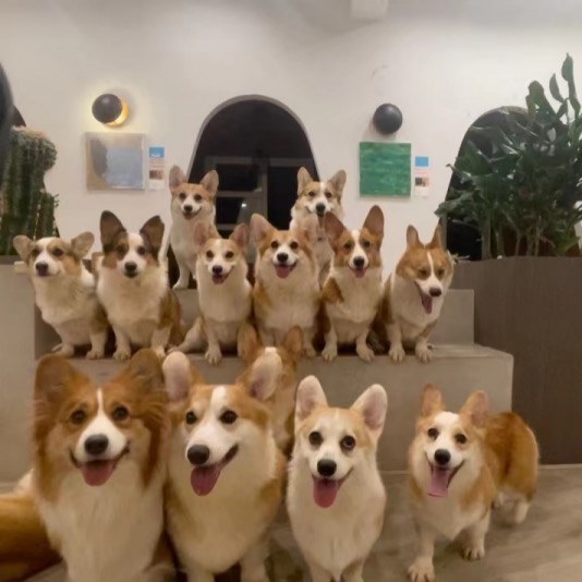 “基厂”基仔们的大合影