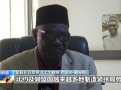 尼日利亚学者：美西方挑动对抗或引发全球更多不稳定