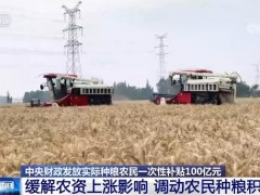 中央财政发放实际种粮农民一次性补贴100亿元 调动农民种粮积极性