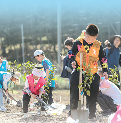 浙江省绍兴市越城区金溪村的青少年在研学游基地植树，绿化环境。　　资料图片