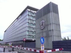 全球已有15个国家报告猴痘确诊病例 世卫：未来可能发现更多猴痘病例