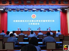 全国检察机关打击整治养老诈骗专项行动工作推进会召开