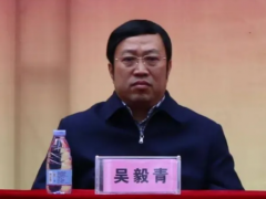广东省揭阳市原副市长吴毅青、广东省地质局原副局长吴卫华，被捕