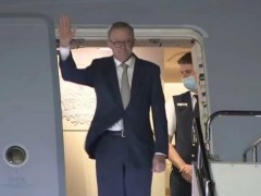 澳总理阿尔巴内塞上任第一天就出访，刚刚到日本
