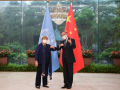 王毅会见联合国人权高专巴切莱特