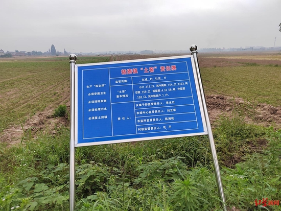 ▲农田旁边树立的《插旗镇“土窖”责任牌》