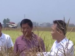 在希望的田野上 | 水稻油菜轮作 冬闲田变“油田”
