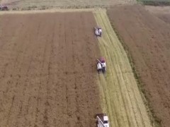 在希望的田野上 | 我国夏油作物丰收基本到手 大面积增产提质