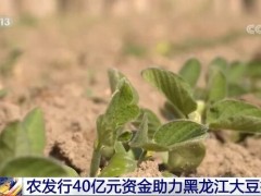 农发行提供40亿元支持黑龙江大豆全产业链发展