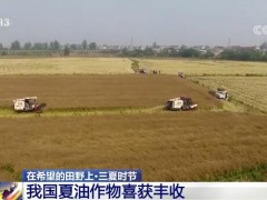 中央加大对耕地轮作补贴力度 我国夏油作物喜获丰收