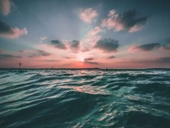 “印太经济框架”启动！中国危险？