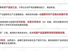 农村返乡创业可行性分析报告-值得一看