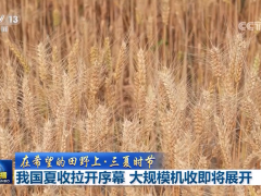 【在希望的田野上·三夏时节】我国夏收拉开序幕 大规模机收即将展开