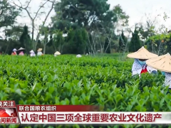 我国全球重要农业文化遗产已增至18项 数量居世界首位