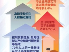 10年间发生格局性变化，我国建成世界规模最大职教体系