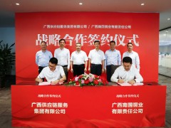 广西组建广西供应链服务集团 大宗商品供应链平台登场