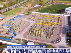 国家石油天然气基础设施重点工程青宁管道与西气东输联通工程建成投产