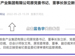 河北省粮食产业集团有限公司原董事长张立新等3人被查