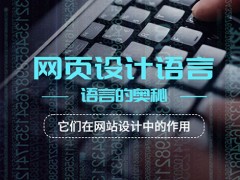 九种常见的网页设计语言：它们在网站设计中的作用