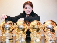 伊布本赛季和米兰一起拿下意甲冠军。