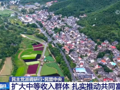 【民主党派调研行】民盟中央：扩大中等收入群体 扎实推动共同富裕