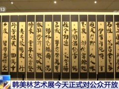 安徽：韩美林艺术展今天正式对公众开放