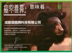 构建人类命运共同体，zTag公益活动进行时