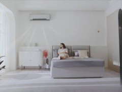 热泵空调：实力诠释买夏“调”要语“冰”