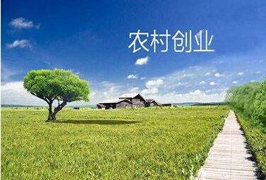 适合农村女性创业项目_四个适合农村创业的好项目_适合在农村的创业项目