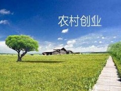 哪些项目适合在农村创业（贵州农村适合创业的项目）