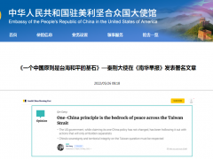 驻美大使秦刚：美方有关“战略清晰”或“战略模糊”讨论纯粹浪费时间