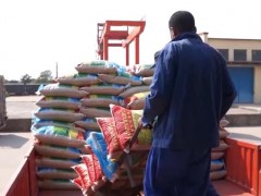 三夏时节 | 铁路部门前置服务主动对接需求 提升粮食运输效率