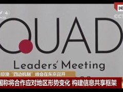国际锐评丨某些“迎美叛亚”的日本政客在做一个白日梦