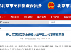 涉核酸造假案，北京房山3名干部被查