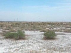 我国近1.5亿亩盐碱地具有开发利用潜力 为重要后备土地资源