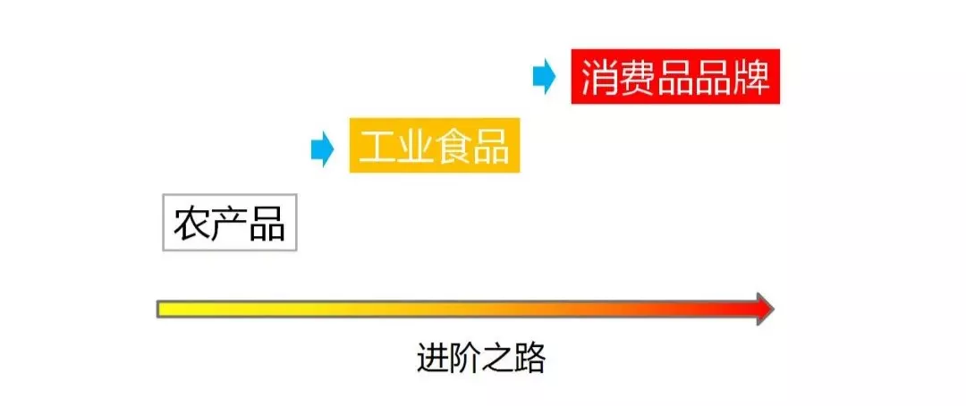 「回顾」四步法打造消费品品牌 | 2021年广西食品行业论坛