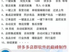 拼多多无源大象软件、无源创业、运营软件