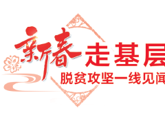 “春节下基层，脱贫一线体验”白领回家创业