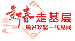 「新春走基层·脱贫攻坚一线见闻」白领返乡创业记