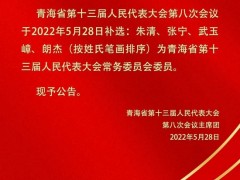 青海省人民代表大会公告（第十八号）
