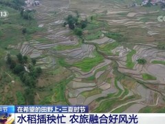 贵州毕节水稻插秧忙 农旅融合好风光