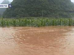 广西靖西：持续降雨导致多个乡镇严重内涝 多处塌方